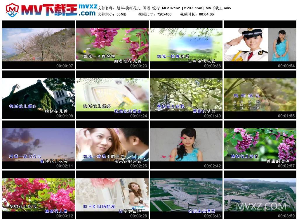赵琳-槐树花儿_国语_流行_MB107162